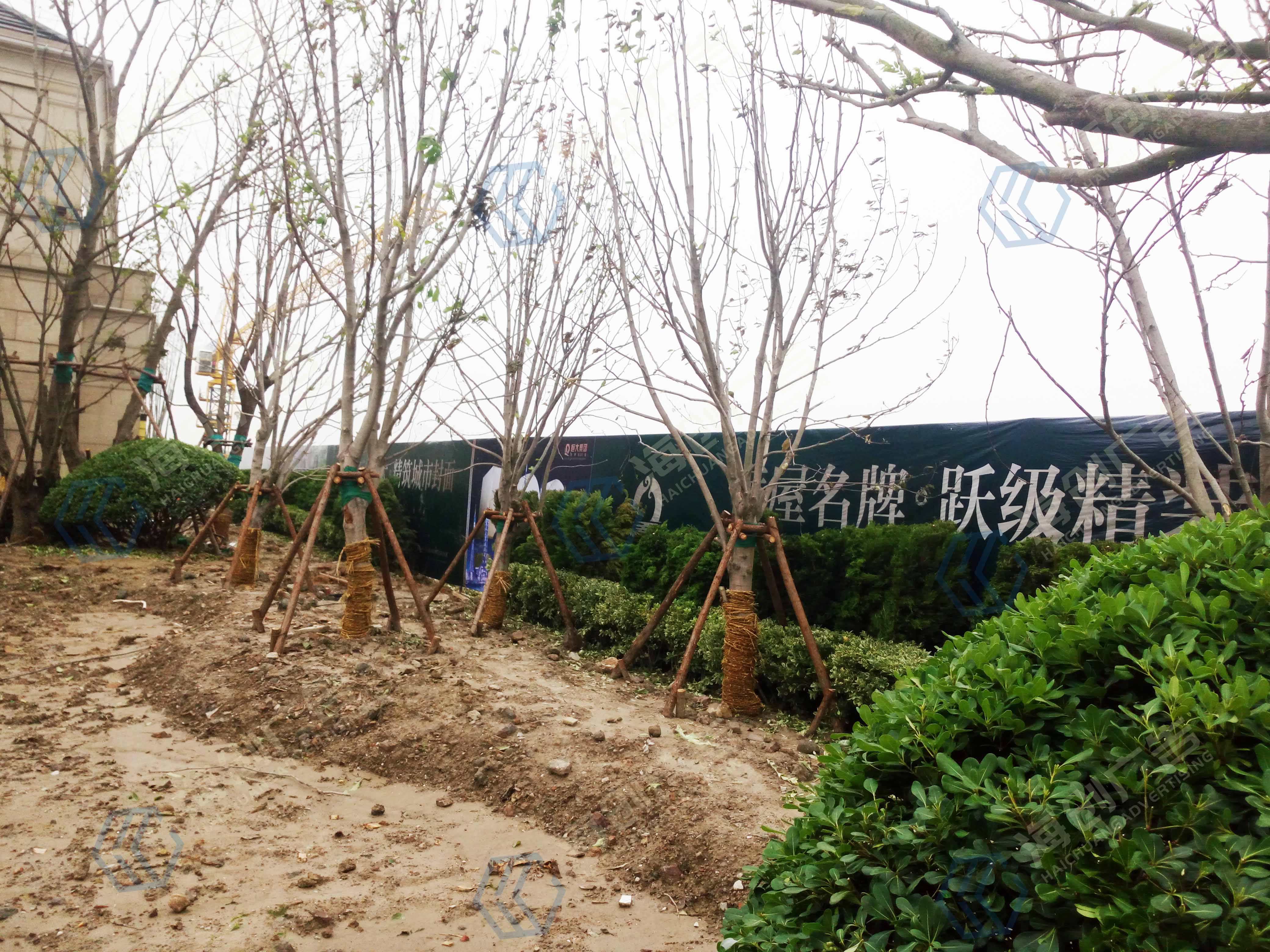 ����ɽ��������